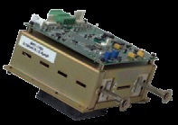 falcon_calidus������΢������ɫ����ɫ��������