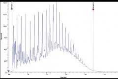 falcon_calidus������΢������ɫ����_������ģ������1