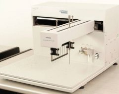 ASP2000·ÖÎö´¦Àí¹¤×÷Õ¾