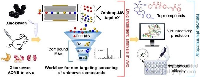 ͼ3. �������������򲡵�ҩ�����ƺ����ʻ����о����巽��